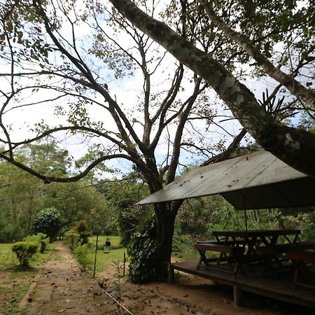360 Rainforest Deniyaya Eksteriør billede