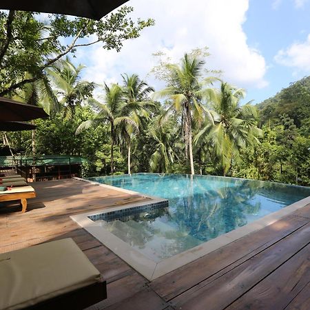 360 Rainforest Deniyaya Eksteriør billede