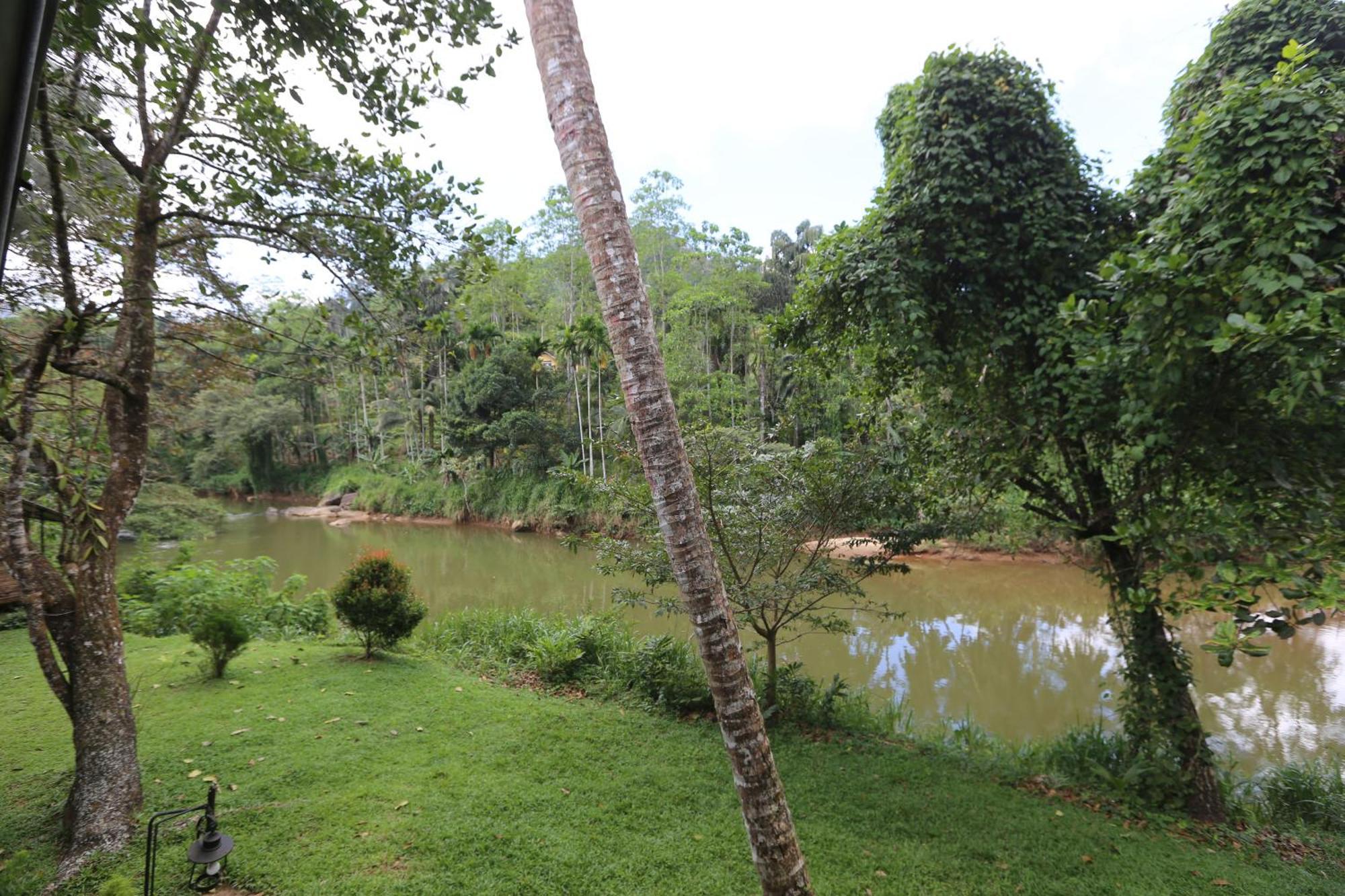 360 Rainforest Deniyaya Eksteriør billede
