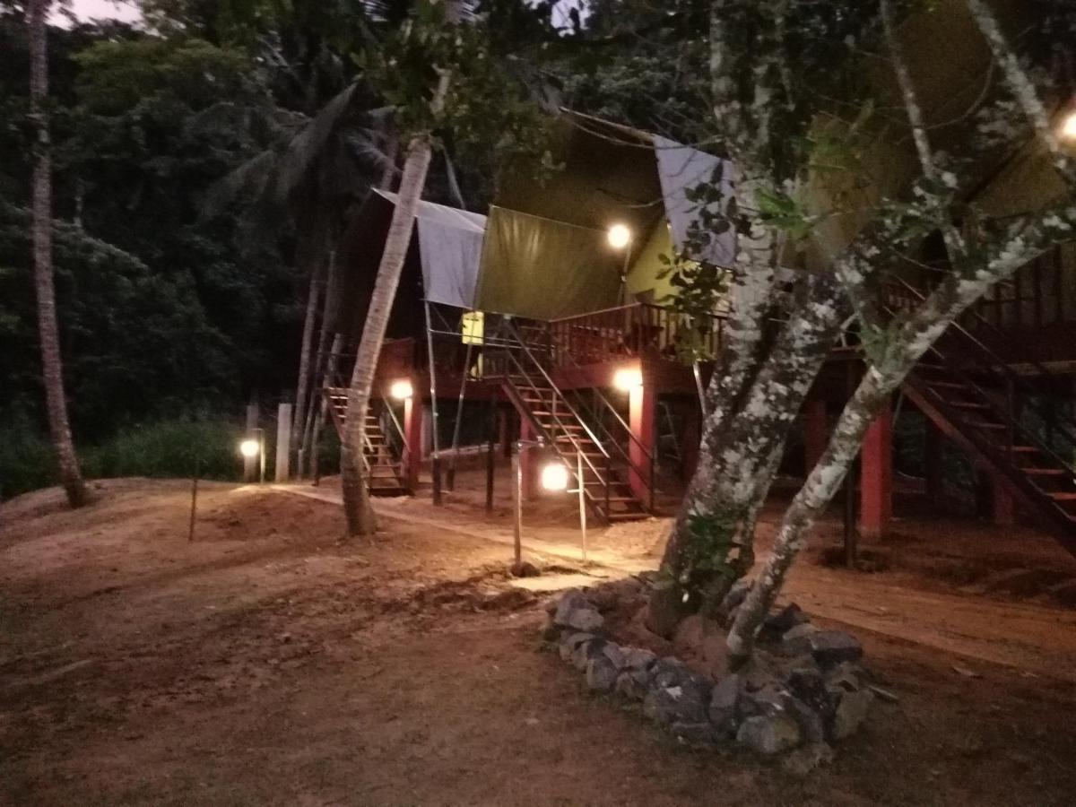 360 Rainforest Deniyaya Eksteriør billede